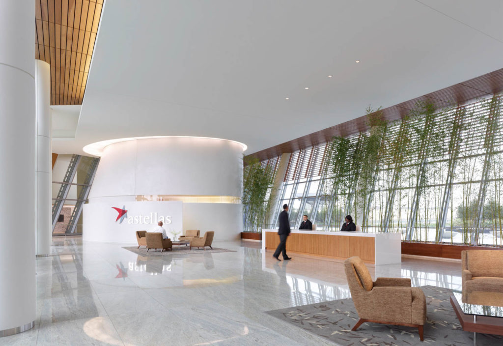 Astellas US Headquarters by SmithGroup, lobby with a long reception desk and bamboo along the window wall, Northbrook