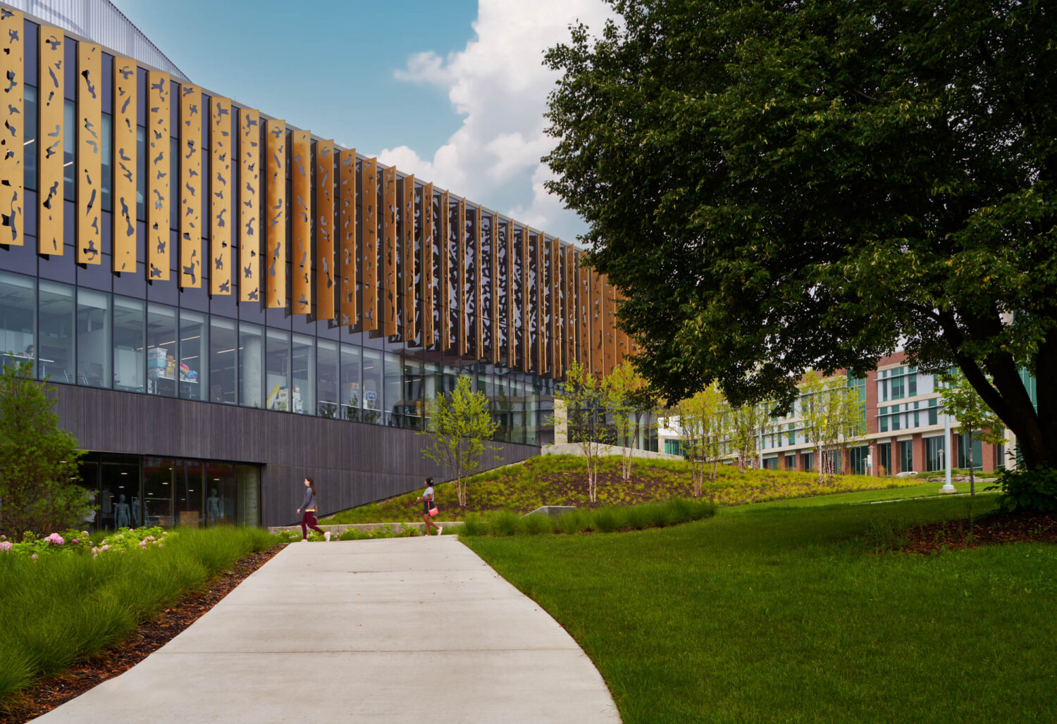 Path curving toward the Western Michigan University Student Center beneath a large tree, gold fins above the lower glass level