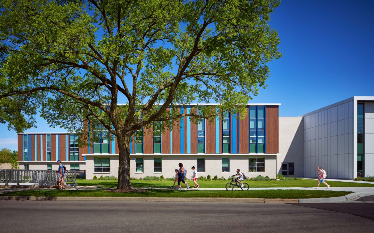 Field Elementary School by Wight & Company beneath a large tree on a sunny day