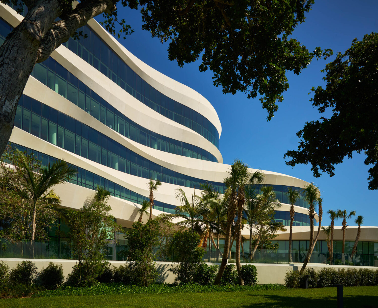 Curving facade framed by palms and a live oak, Braman Comprehensive Cancer Center by CannonDesign, Miami Beach, Florida