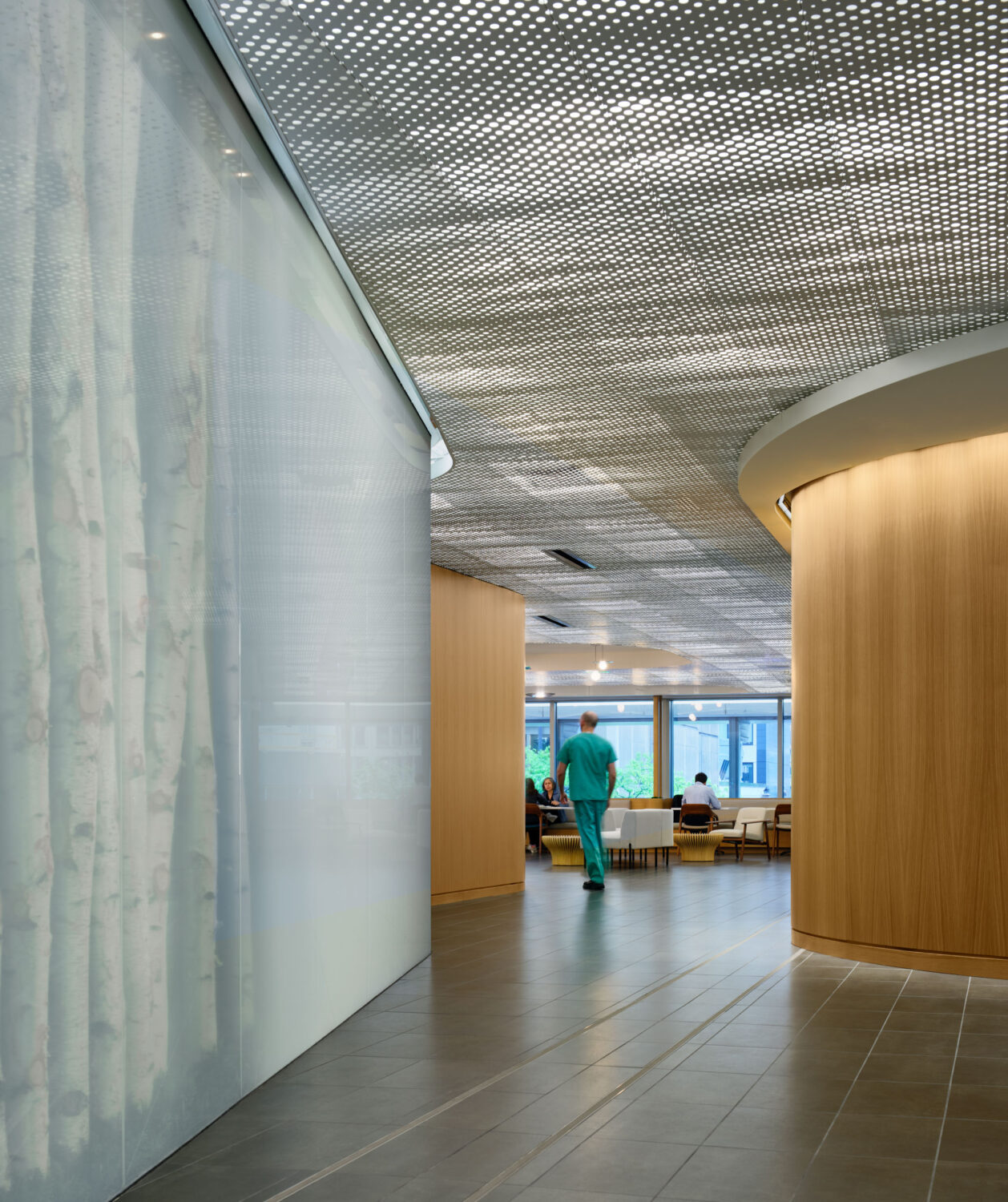 Frosted glass wall glowing with a birch forest beyond, beside curved oak columns at the Northwestern Medicine Faculty Office Center