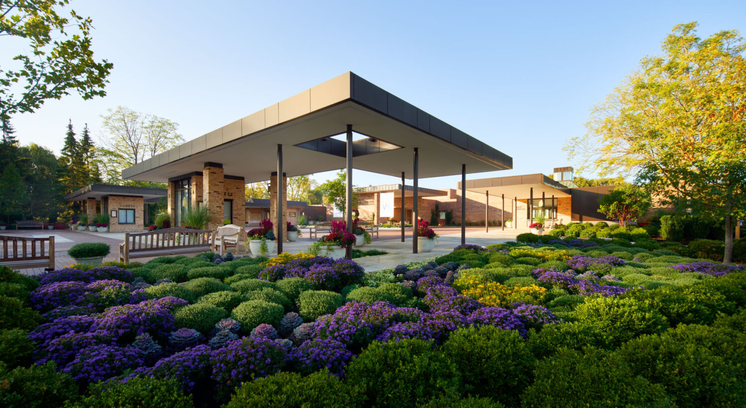 Chicago Botanic Garden Welcome Plaza canopy and visitor center in morning sun behind rows of purple mums
