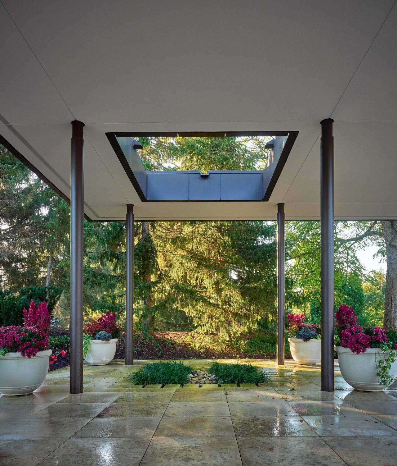 Square opening in the canopy framing evergreens above wet stone paving at the Chicago Botanic Garden
