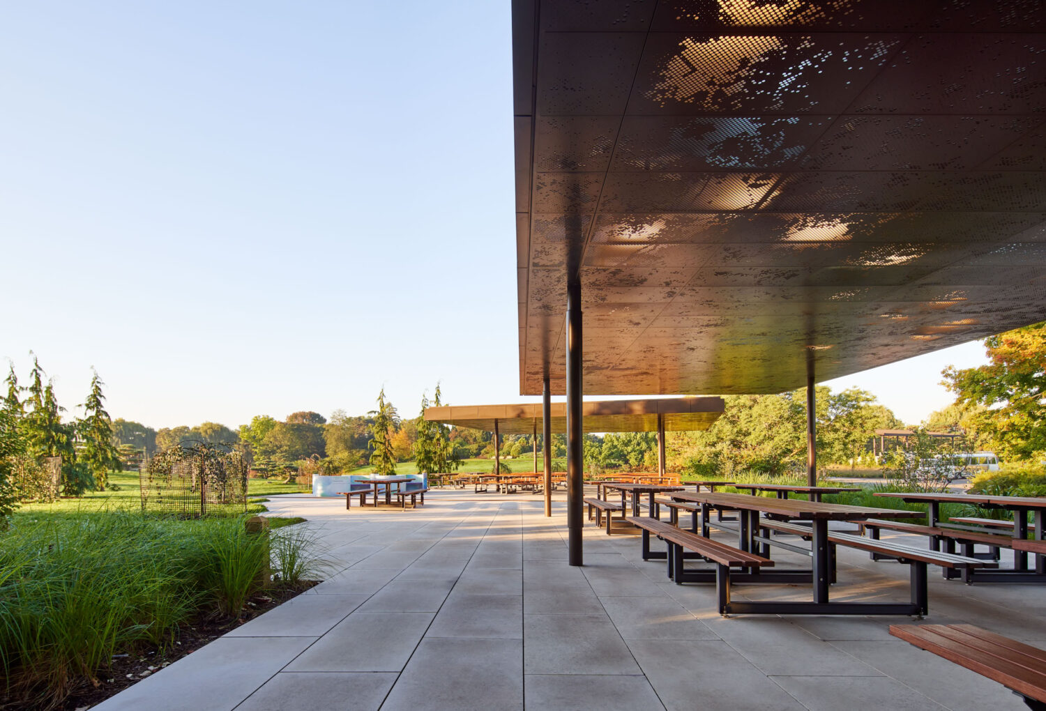 Row of wood picnic tables along the Picnic Glade canopy at the Chicago Botanic Garden in morning light