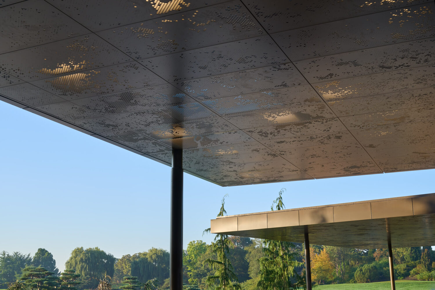 Sunlight through the perforated metal roof of a Picnic Glade pavilion at the Chicago Botanic Garden