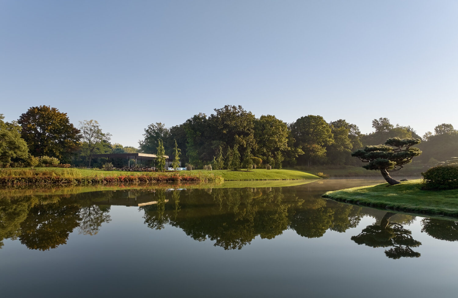 Chicago Botanic Garden lake reflecting trees and a pine at dawn, the Picnic Glade pavilions beyond
