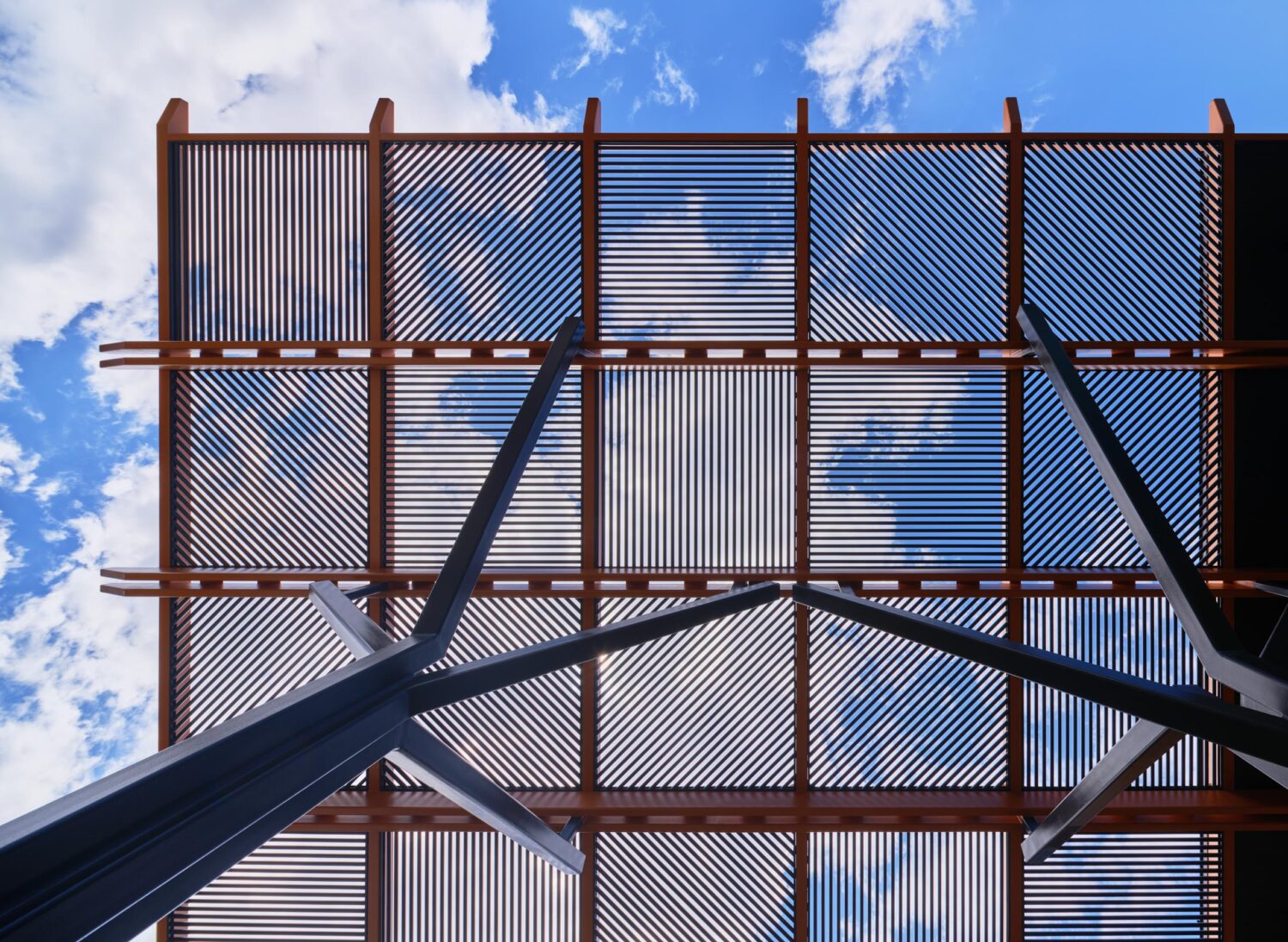 Looking up through the branching steel columns to the perforated canopy against a blue sky at the Kindergarten Center at Churchill Elementary
